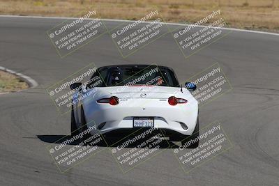 media/Nov-03-2023-Club Racer Events (Fri) [[fd9eff64e3]]/Yellow/Back Shots/